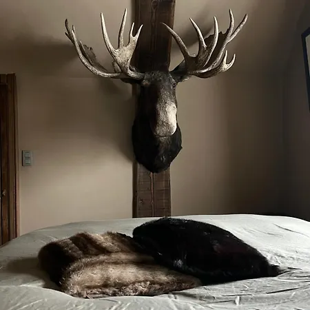 Bed & Breakfast Maison Galerie Art N Pepper *