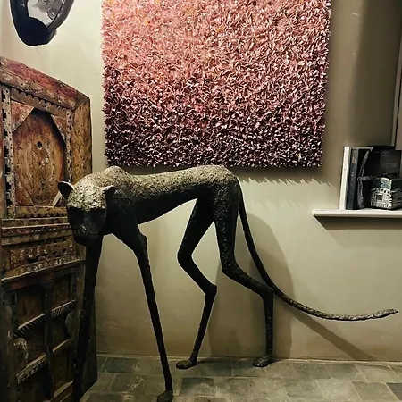 Maison Galerie Art N Pepper Bed & Breakfast Solwaster