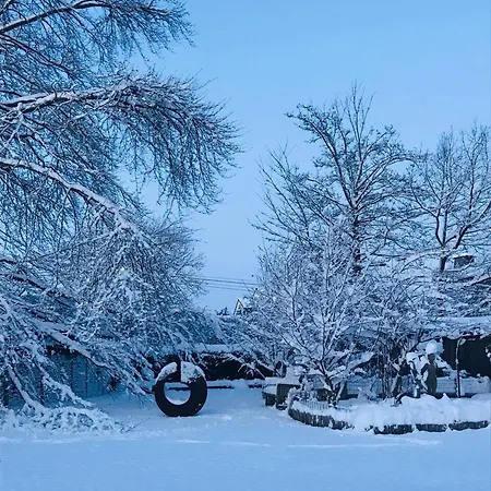 Maison Galerie Art N Pepper Nocleg ze śniadaniem